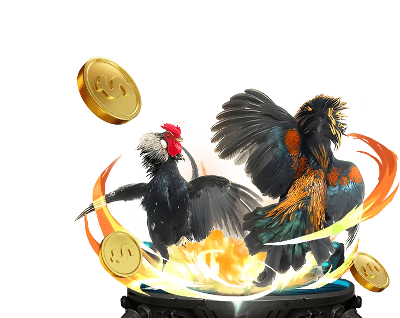 Đội ngũ hỗ trợ caxeng chuyên nghiệp